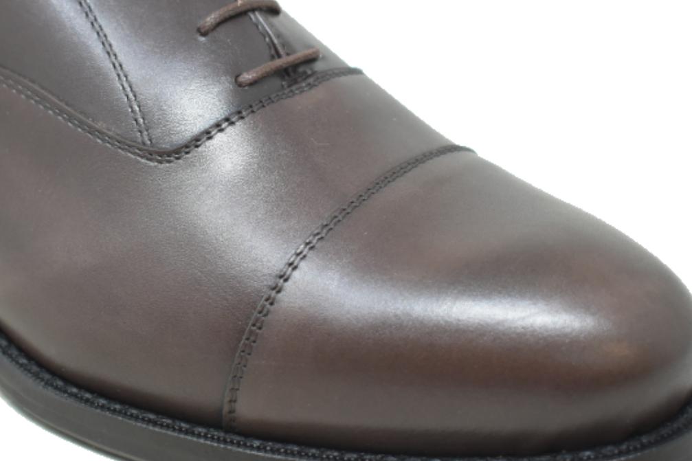 Blucher Paco Cantos 6441 testa para hombre - Zapatos con cordones de vestir