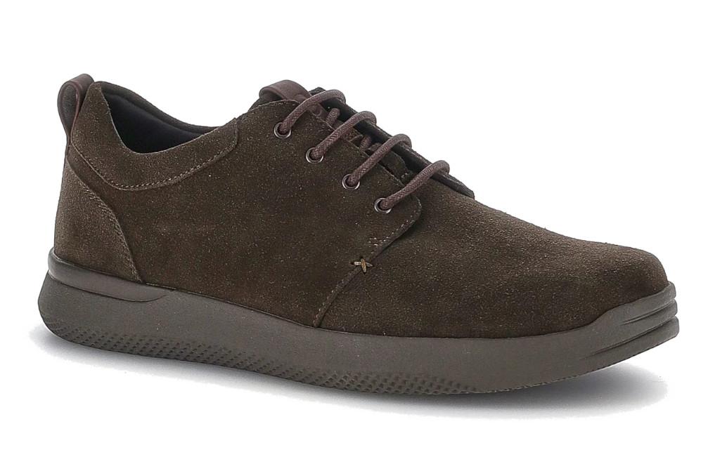 Zapatos con cordones hombre Stonefly Custer 26 marrón
