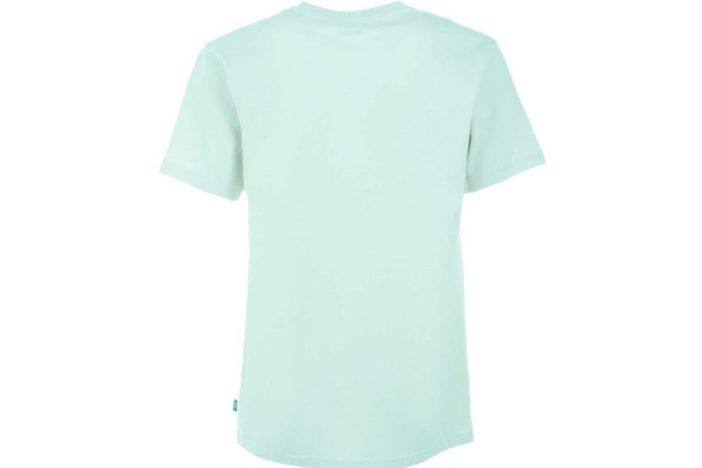Camiseta de manga corta Vans hint of mint VN0A7RSRRNE en verde