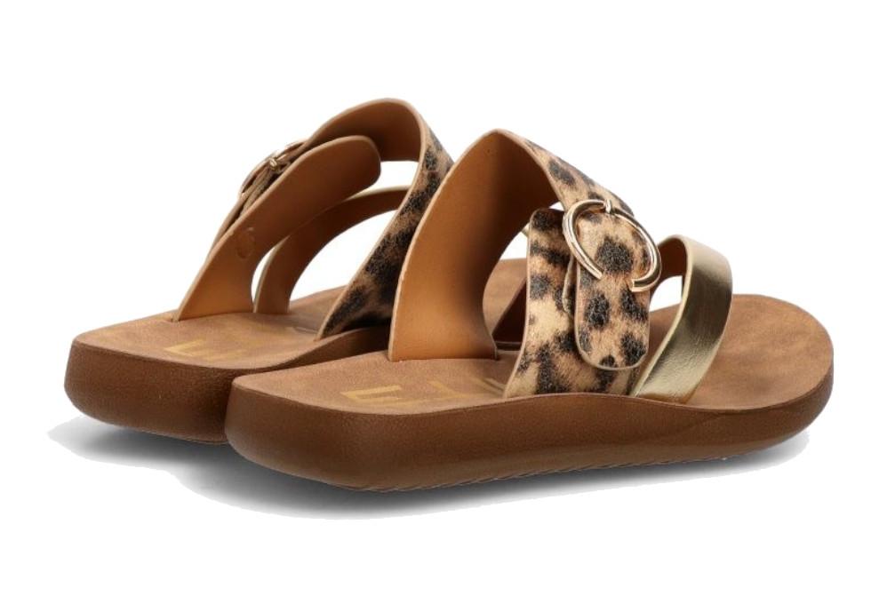 Sandalia Leopardo Mujer ETIKA 10128 | Sandalia Plana con Hebilla