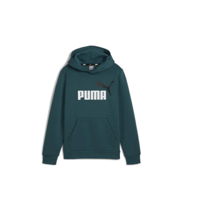 Sudadera Puma Sudadera con capucha Essentials+ Big para niños en verde