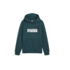 Sudadera Puma Sudadera con capucha Essentials+ Big para niños en verde