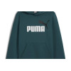 Sudadera Puma Sudadera con capucha Essentials+ Big para niños en verde