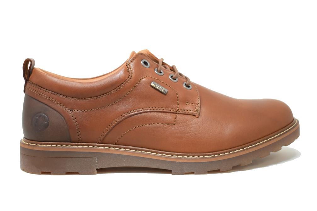 Zapatos con cordones Coronel Tapiocca C322-23 en camel