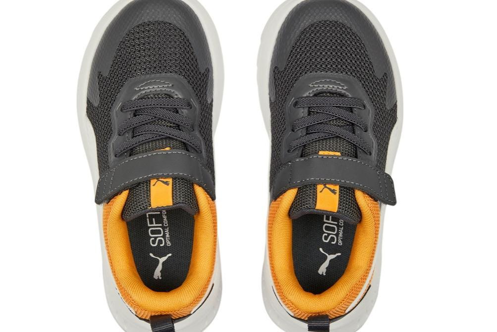 Zapatilla Puma Evolve Run Mesh Alternative Closure 386239