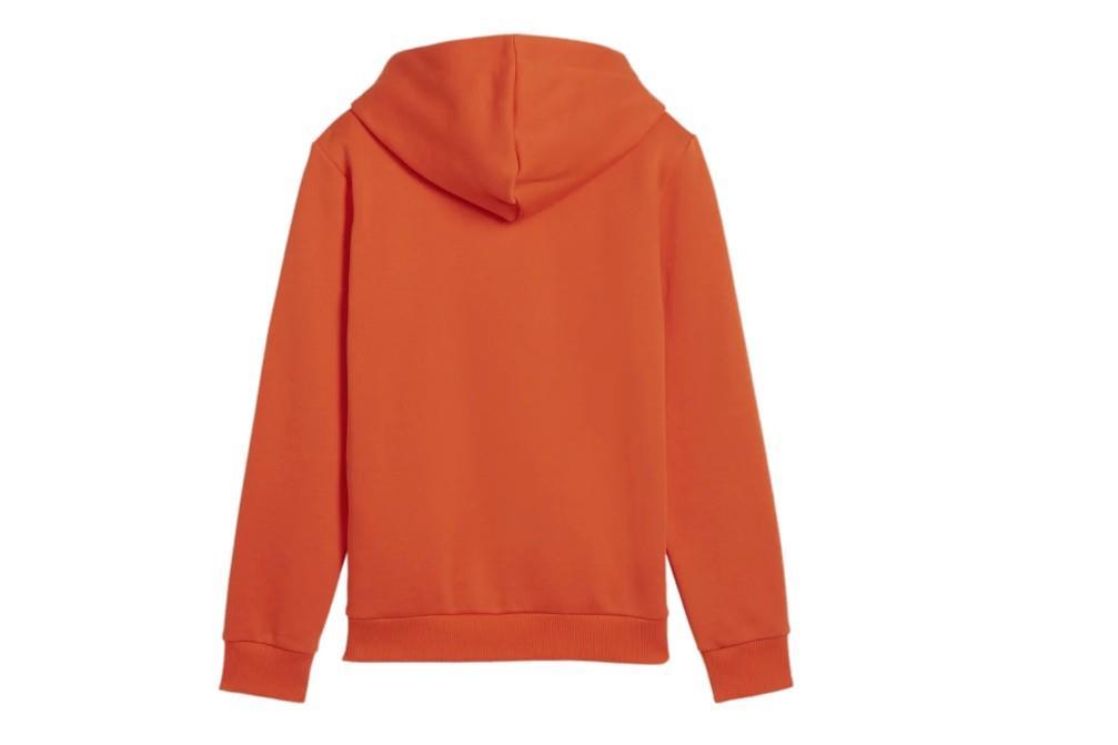 Sudadera Puma Sudadera con capucha Essentials+ Big para niños en rojo