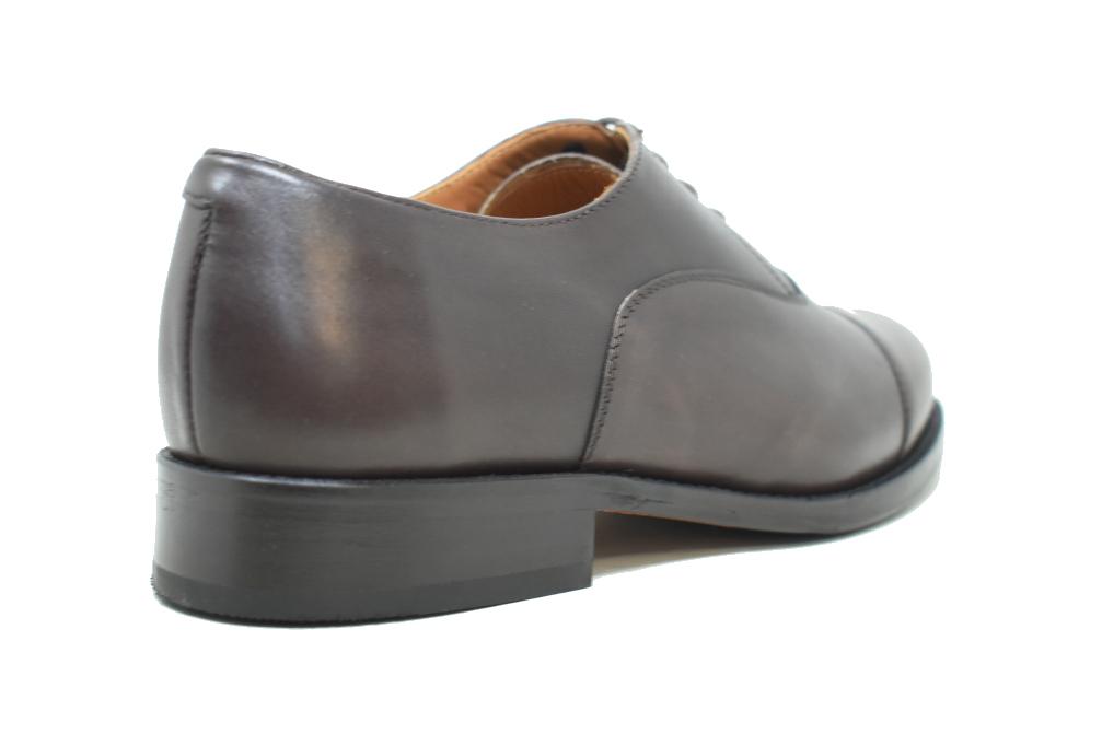 Blucher Paco Cantos 6441 testa para hombre - Zapatos con cordones de vestir
